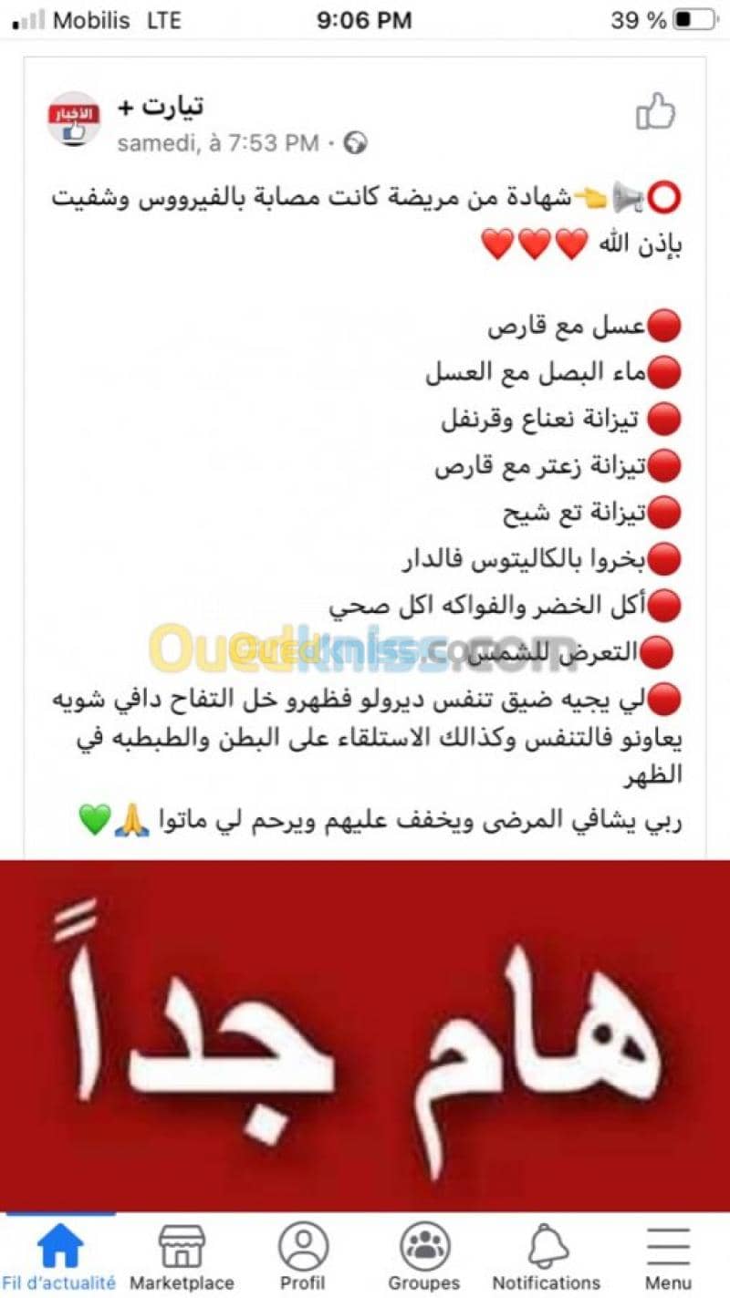 بلجيلالي نورالدين 12