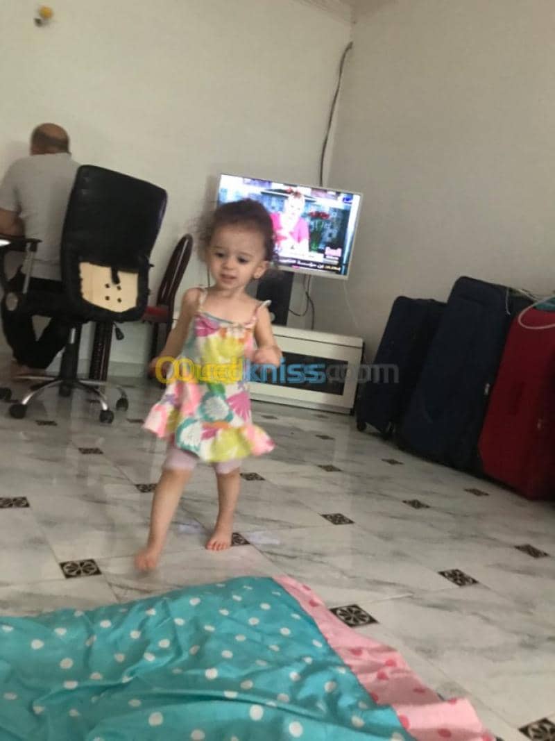 بلجيلالي نورالدين 8