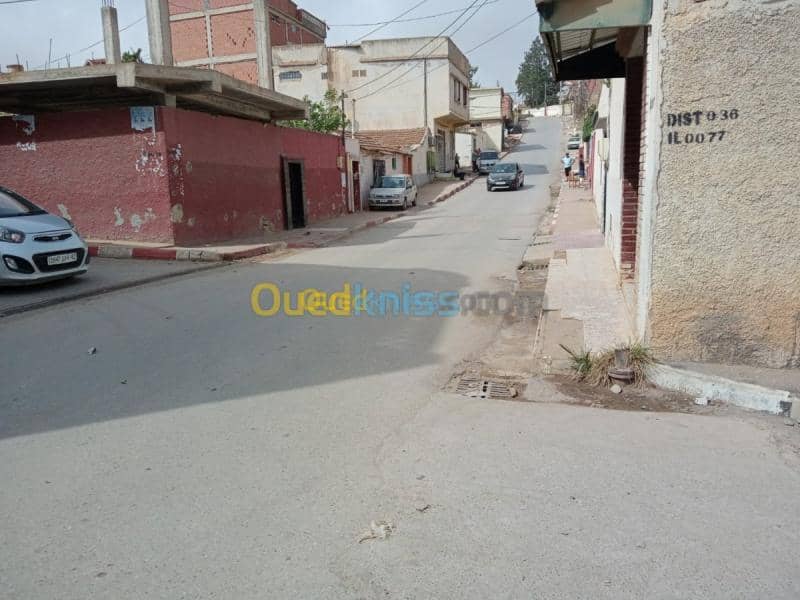 Vente Terrain Tipaza Chaiba