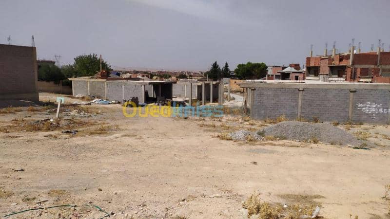 Vente Terrain Mila Chelghoum laid 9