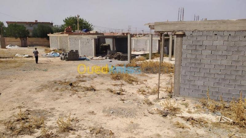 Vente Terrain Mila Chelghoum laid 2