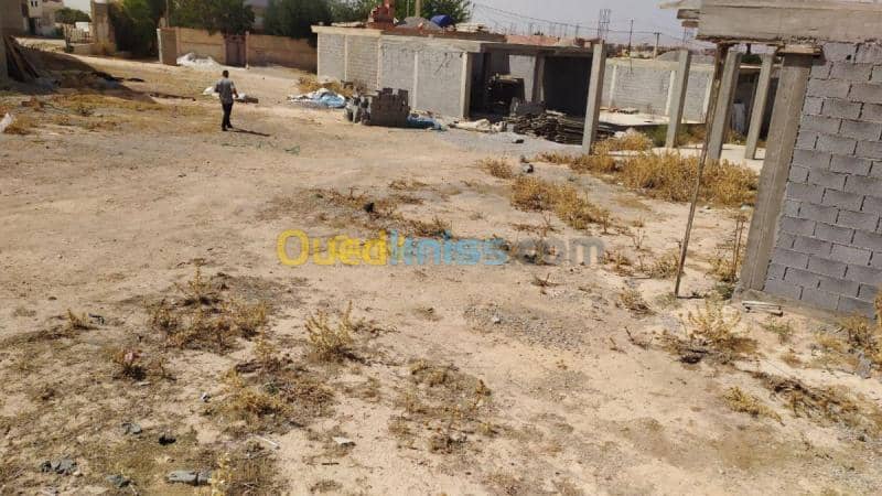 Vente Terrain Mila Chelghoum laid 3