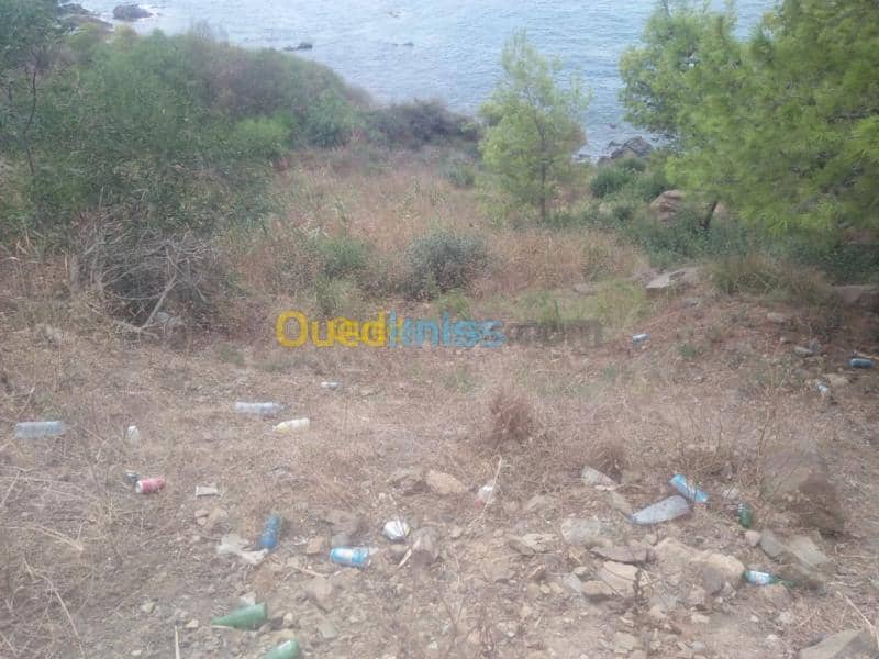 Vente Terrain Skikda El marsa