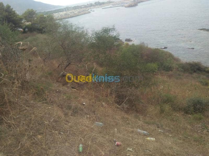 Vente Terrain Skikda El marsa 2