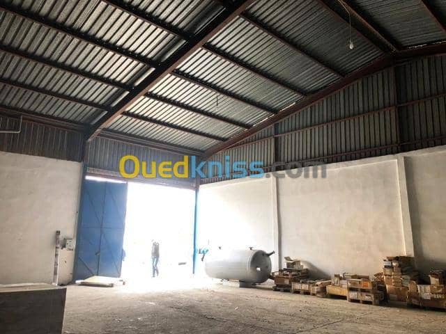 Location Immeuble Alger Zeralda 18