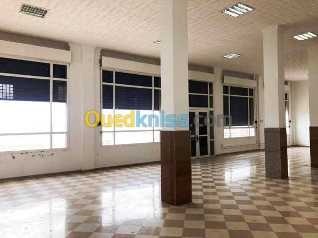Location Immeuble Alger Zeralda 2