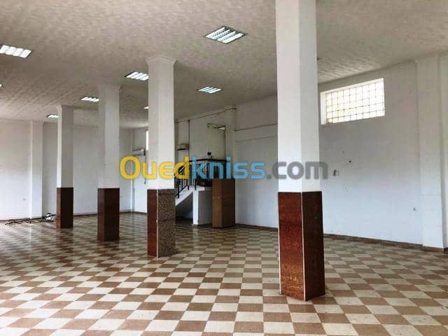 Location Immeuble Alger Zeralda 3