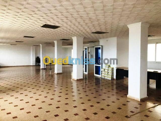 Location Immeuble Alger Zeralda 6