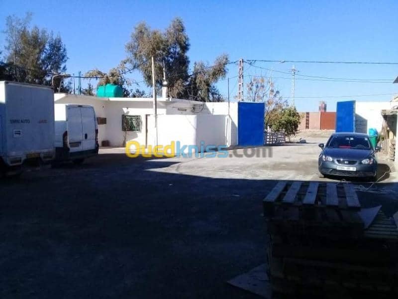 Location Hangar Sidi bel abbes Sidi bel abbes 2