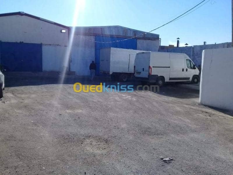 Location Hangar Sidi bel abbes Sidi bel abbes 3