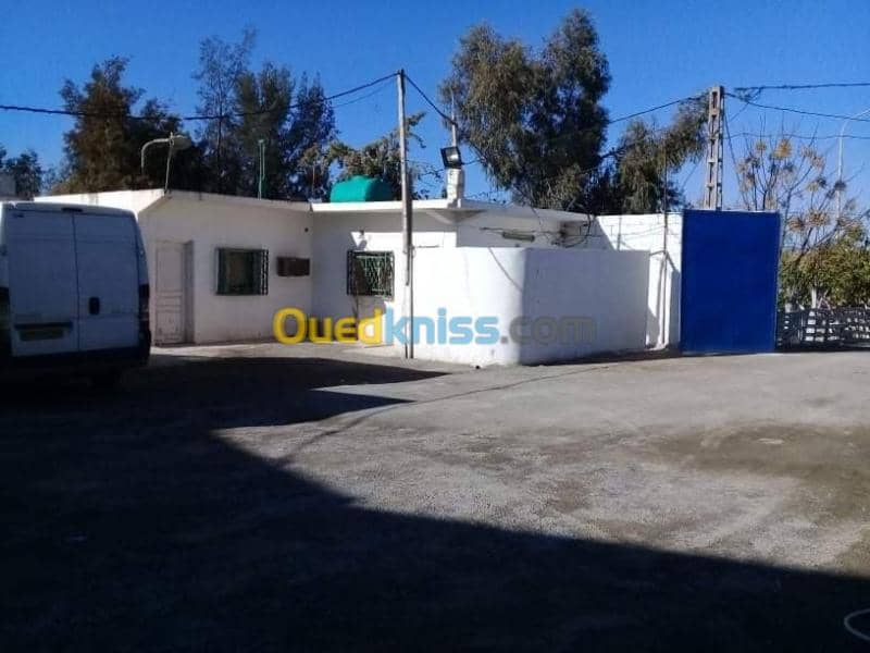 Location Hangar Sidi bel abbes Sidi bel abbes 4