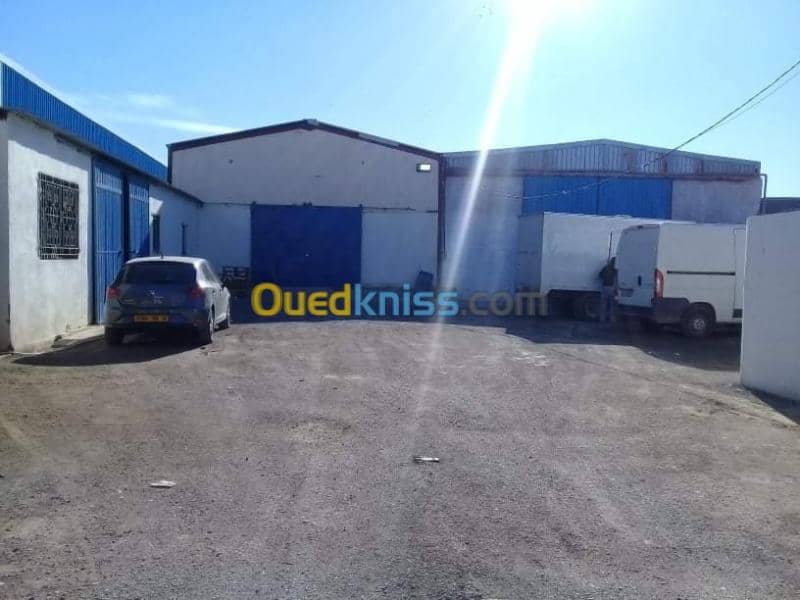 Location Hangar Sidi bel abbes Sidi bel abbes 5