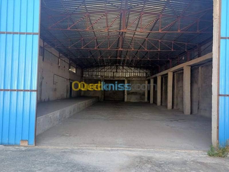 Location Hangar Sidi bel abbes Sidi bel abbes 6