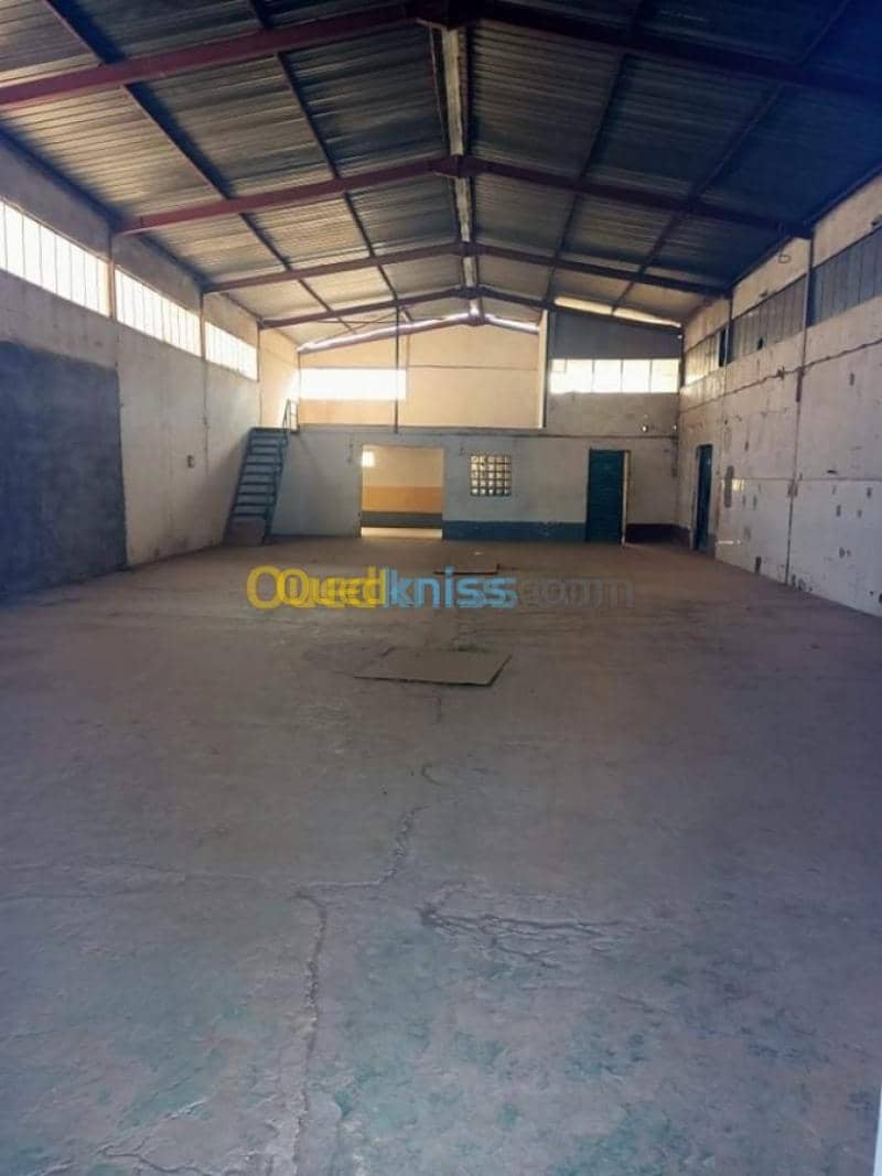 Location Hangar Sidi bel abbes Sidi bel abbes 7