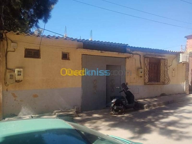 Vente bien immobilier Tipaza Chaiba 3