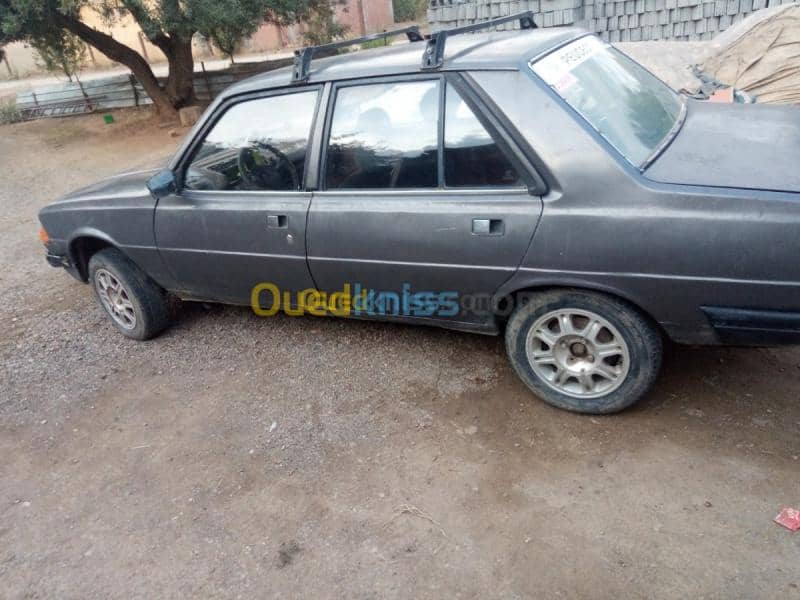 Peugeot 305 1987 8