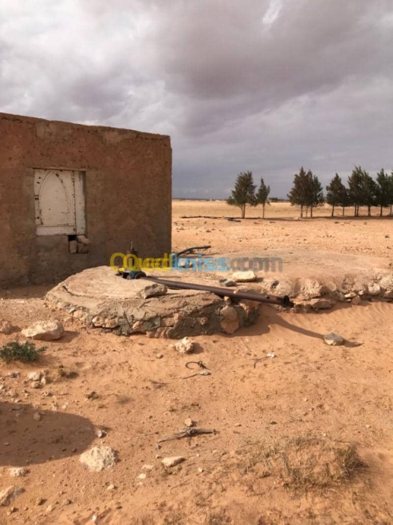 Location Terrain Agricole Tiaret Zmalet el emir abdelkader 2