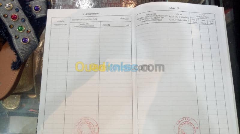 Vente Terrain Relizane Mazouna 2