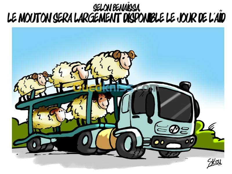 Caricaturiste dessinateur illustrateur 9
