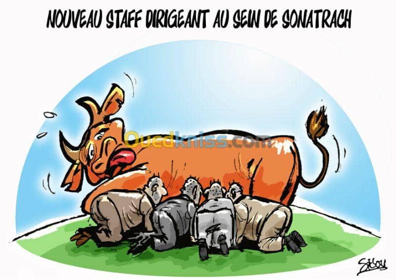 Caricaturiste dessinateur illustrateur 8