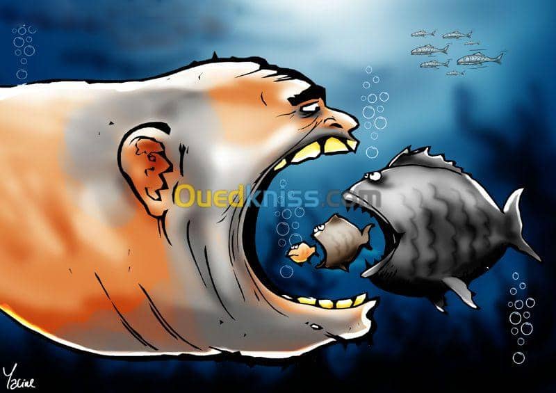 Caricaturiste dessinateur illustrateur 10