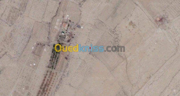 Vente Terrain Biskra Biskra 2