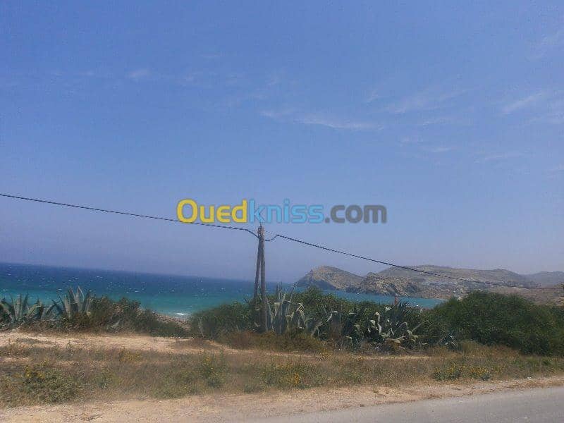 Vente Terrain Aïn Témouchent Bou zedjar