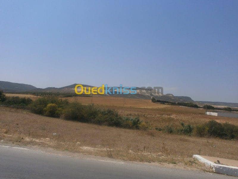 Vente Terrain Aïn Témouchent Bou zedjar 11