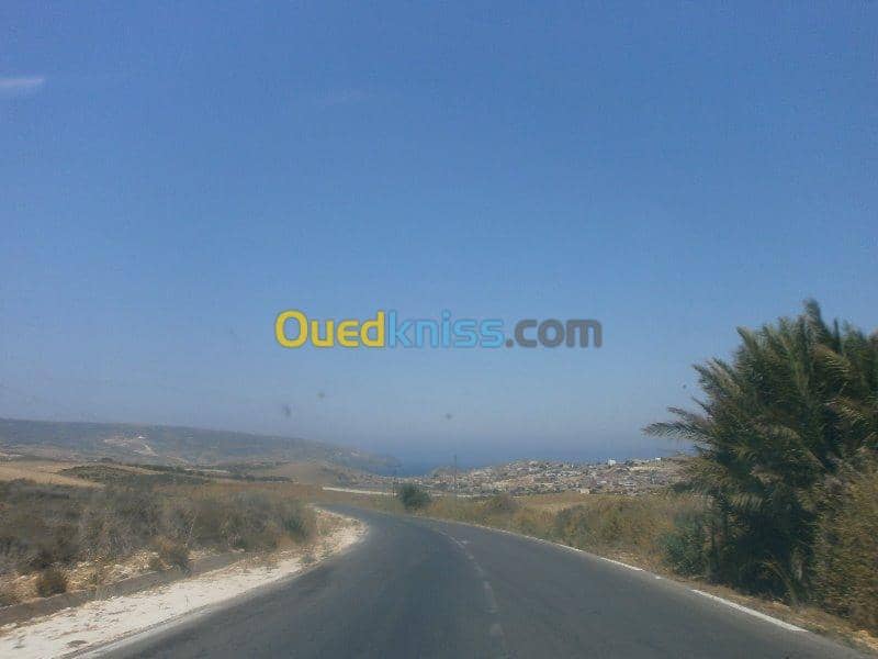 Vente Terrain Aïn Témouchent Bou zedjar 13