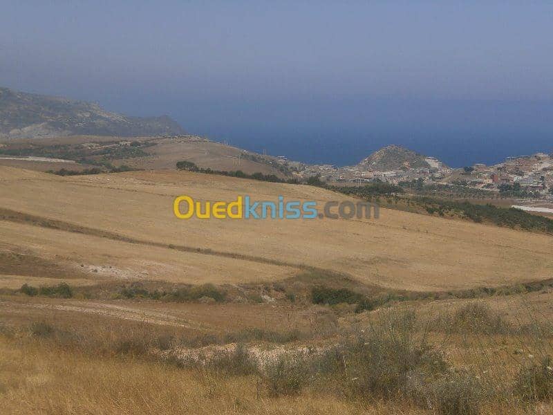 Vente Terrain Aïn Témouchent Bou zedjar 14