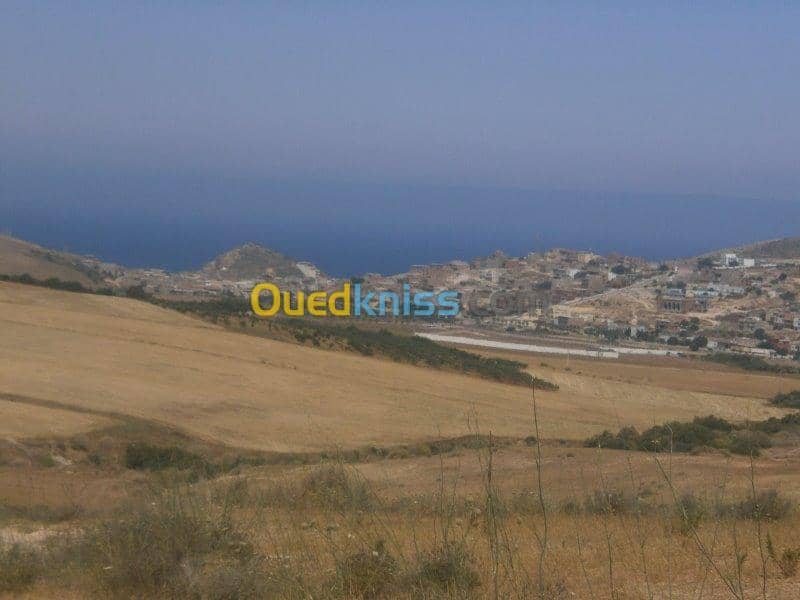 Vente Terrain Aïn Témouchent Bou zedjar 15