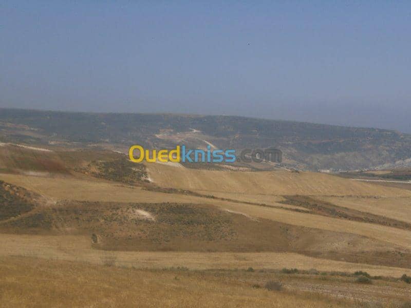Vente Terrain Aïn Témouchent Bou zedjar 16