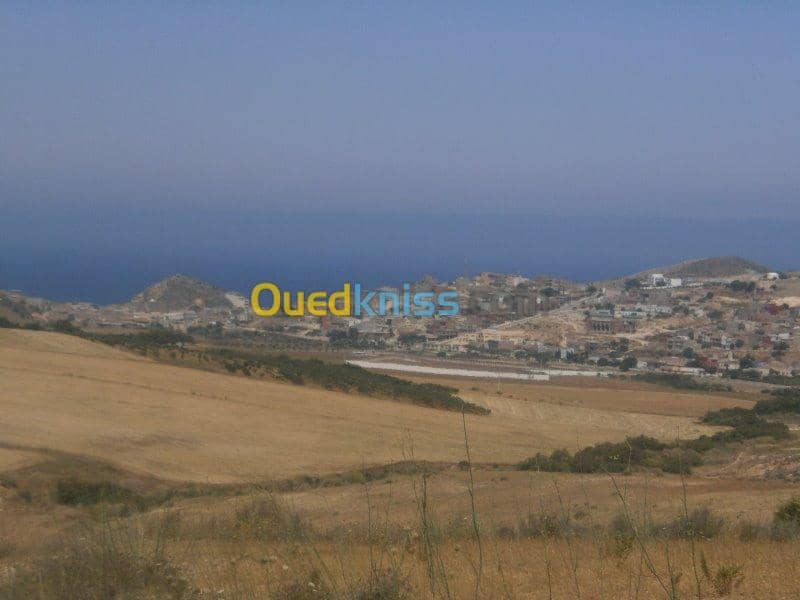 Vente Terrain Aïn Témouchent Bou zedjar 17