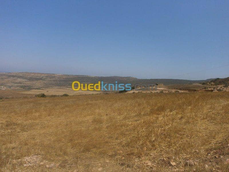 Vente Terrain Aïn Témouchent Bou zedjar 18
