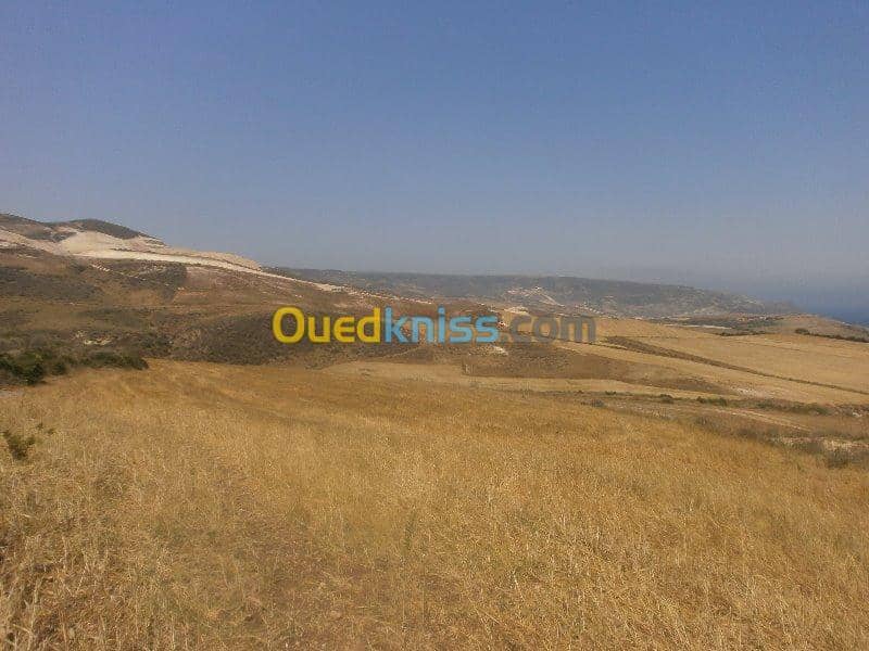 Vente Terrain Aïn Témouchent Bou zedjar 19
