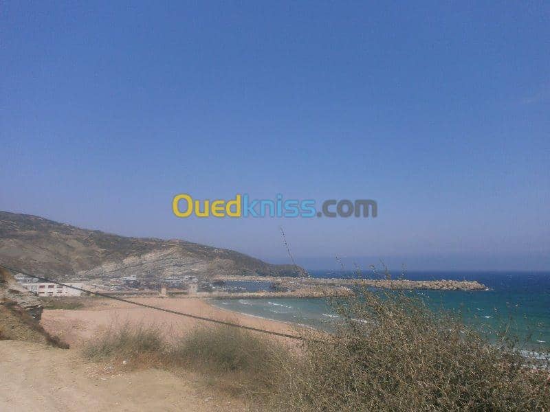 Vente Terrain Aïn Témouchent Bou zedjar 2