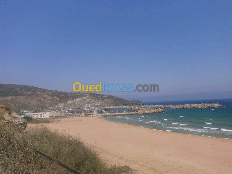 Vente Terrain Aïn Témouchent Bou zedjar 3