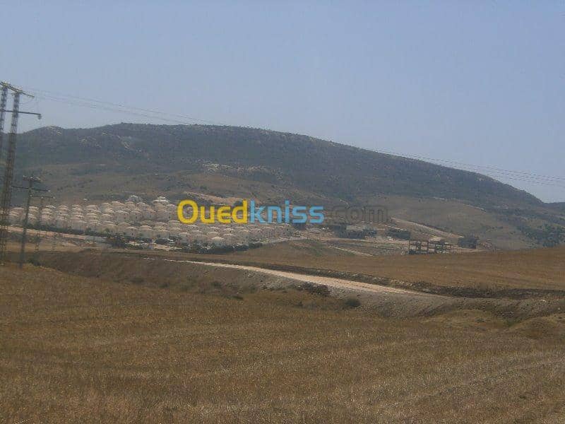 Vente Terrain Aïn Témouchent Bou zedjar 4