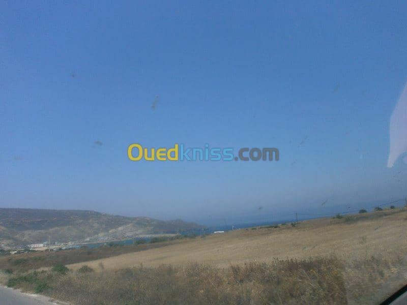 Vente Terrain Aïn Témouchent Bou zedjar 5