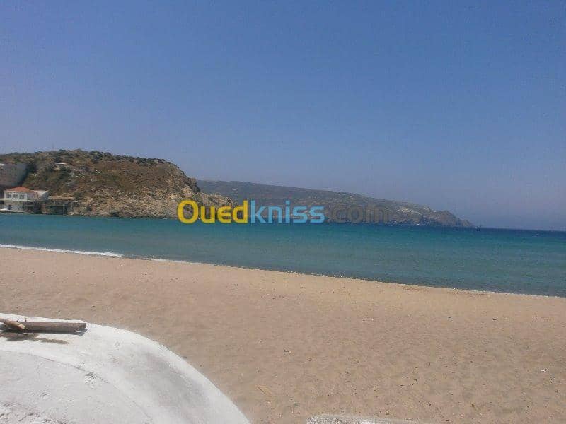 Vente Terrain Aïn Témouchent Bou zedjar 8