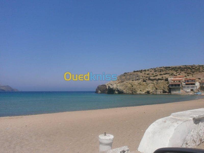 Vente Terrain Aïn Témouchent Bou zedjar 9