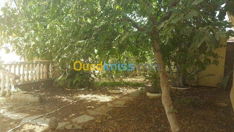 Vente Villa Tiaret Tiaret 14