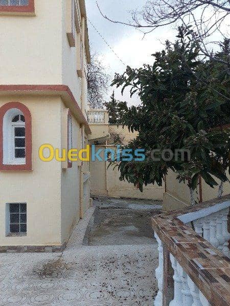 Vente Villa Tiaret Tiaret 2