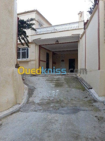 Vente Villa Tiaret Tiaret 4