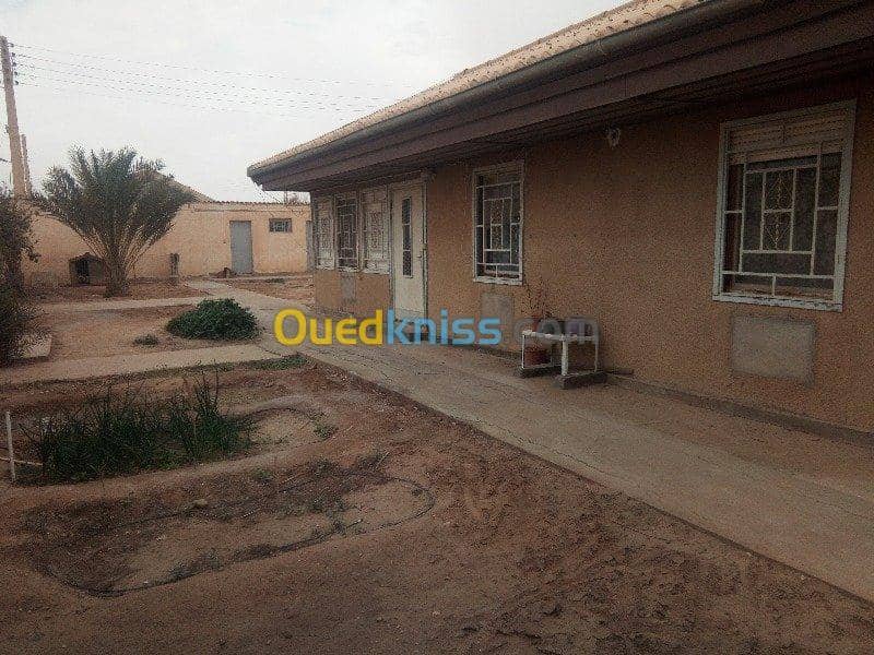 Vente Villa Biskra Biskra 4
