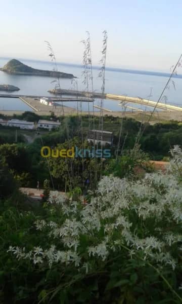 Location Villa Jijel El aouana 2