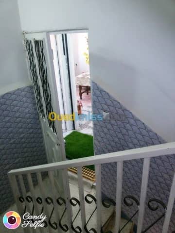 Location Appartement F2 Aïn Témouchent Ain temouchent 13