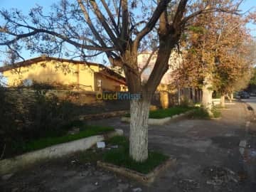 Vente Villa Mascara Mohammadia 7