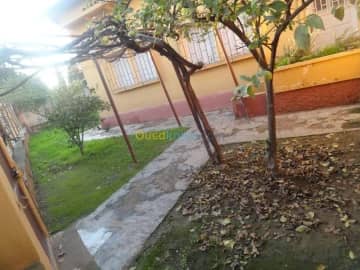 Vente Villa Mascara Mohammadia 10
