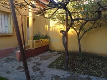Vente Villa Mascara Mohammadia 13